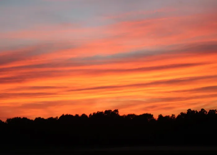 Lejlighed Erwachsenen Der Wieserhof Wunderschoene Einzellage