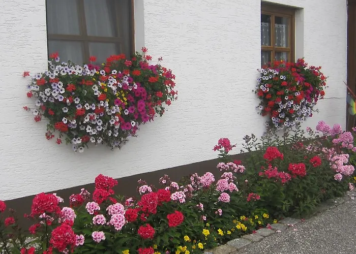 Erwachsenen Der Wieserhof Wunderschoene Einzellage 4* Bad Fussing