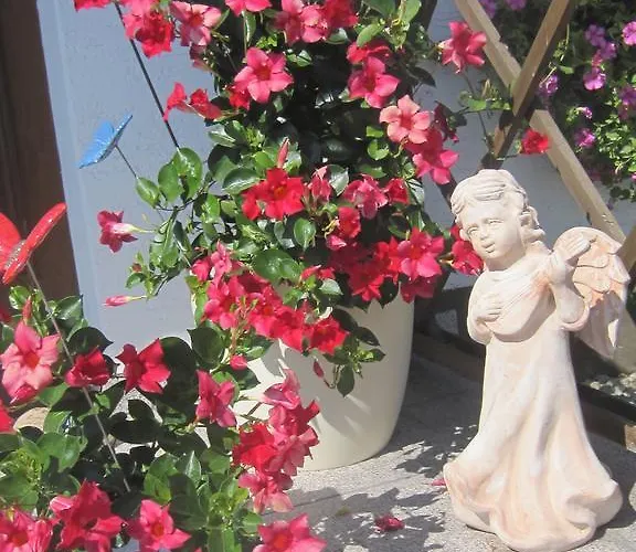 Erwachsenen Der Wieserhof Wunderschoene Einzellage Bad Fussing