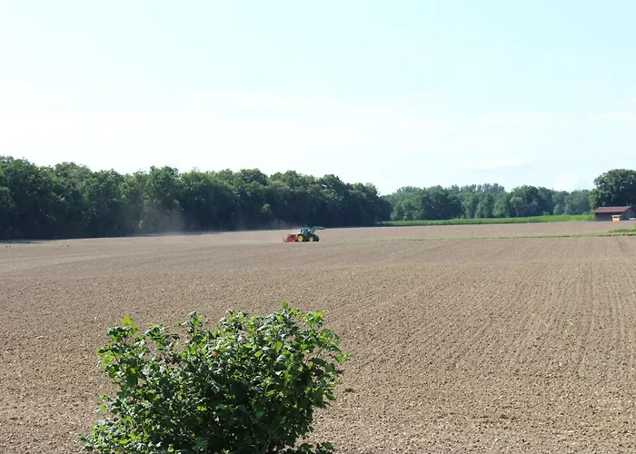 Appartement Erwachsenen Der Wieserhof Wunderschoene Einzellage Bad Füssing